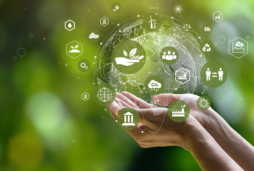 Local Government: Transforming Risk Management Culture
